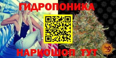 хмурый Долгопрудный