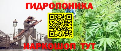 ПСИЛОЦИБИНОВЫЕ ГРИБЫ Гуково