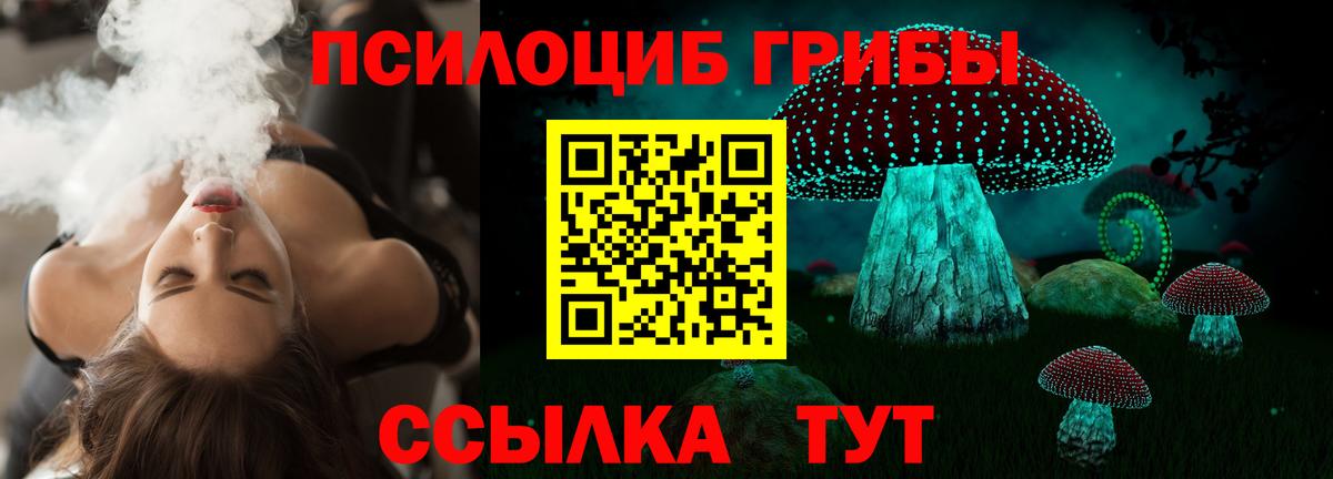 Галлюциногенные грибы мухоморы Великие Луки